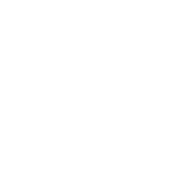 Commercial Spaceflight Federation logo