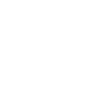EtherealX logo