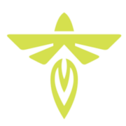 Firefly Defense logo