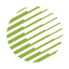 Infostellar logo