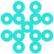 National Stem Cell Foundation logo