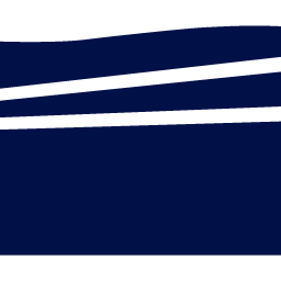 Near Space Labs logo