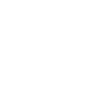 SWISSto12 logo